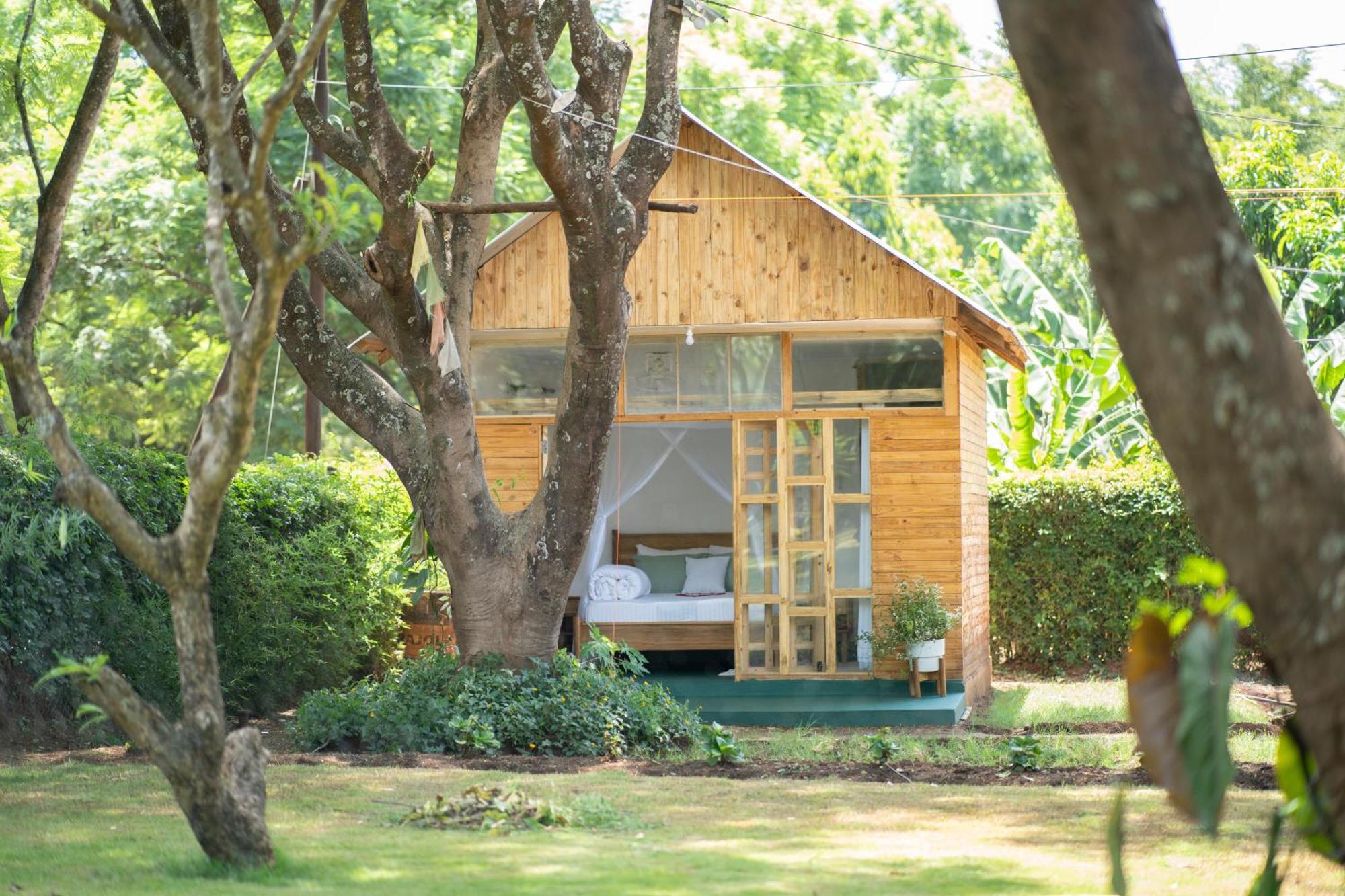 Mkoani Homestay 莫希 外观 照片